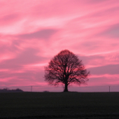 Když jde sluníčko spát.