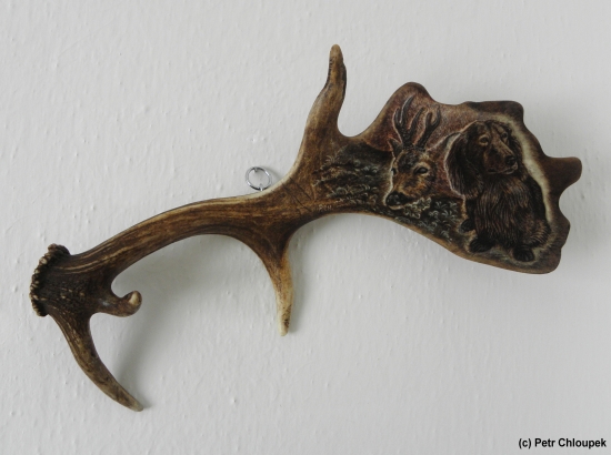 Moje práce - jezevčík s uloveným raritním srncem