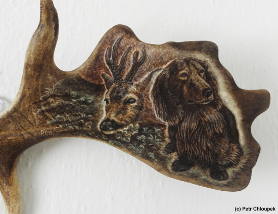 Moje práce - jezevčík s uloveným raritním srncem