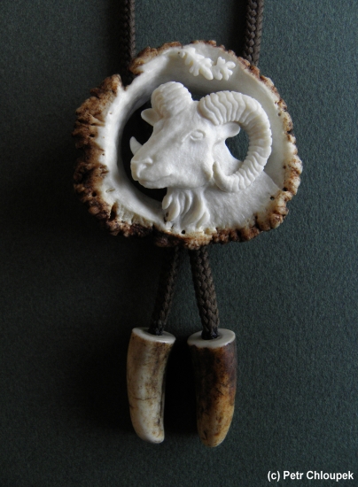 Moje práce - bolo (muflon)