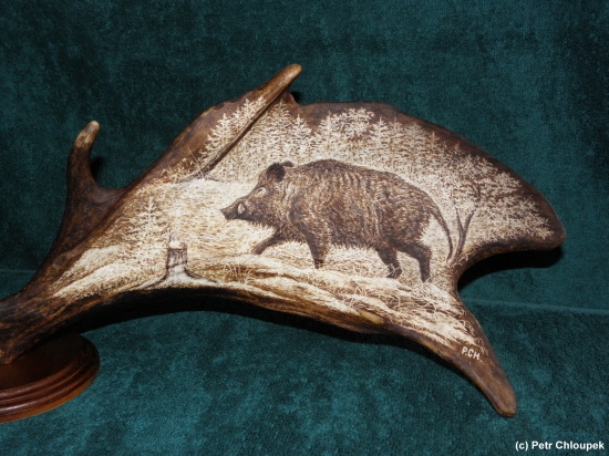 Moje práce - kňour