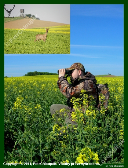 Na lovu srnčí zvěře s fotoaparátem