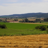 Sudický dvůr (jeho součástí je také broková střelnice)