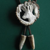 Bolo pro Terrku