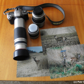 S touhle fotovýbavou jsem se začal v roce 2004 věnovat fotografování zvěře
