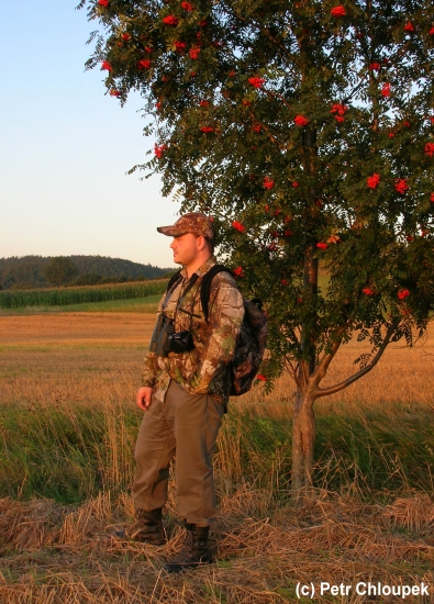 Srnčí říje skončila, žně také a pomalu se blíží podzim...