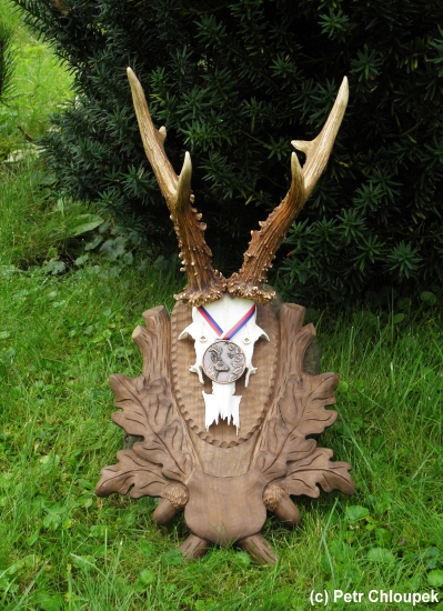 Bronzové shozy  107,75 b CIC