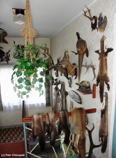Můj lovecký interiér (2)