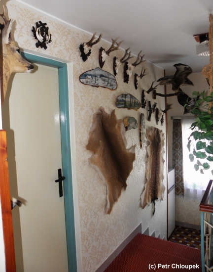 Můj lovecký interiér (3)