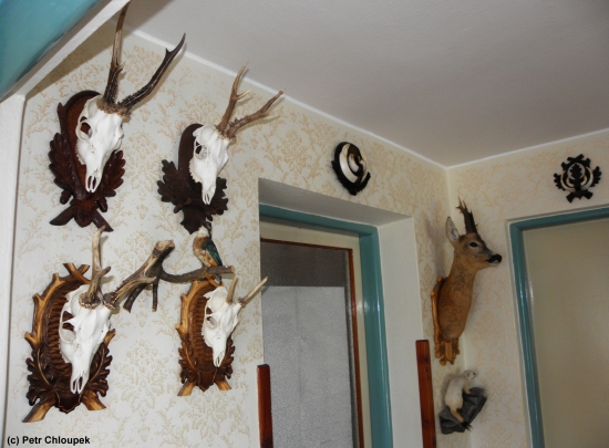 Můj lovecký interiér (4)