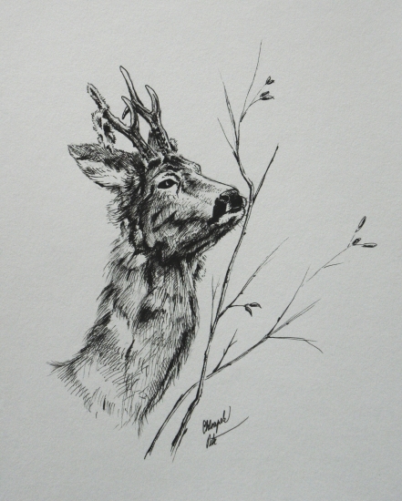 Vytloukání parůžků