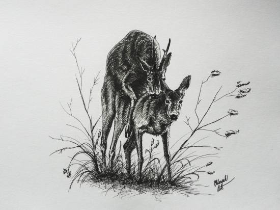 Srnčí říje