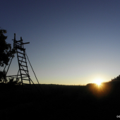 Svítání nad lesem...