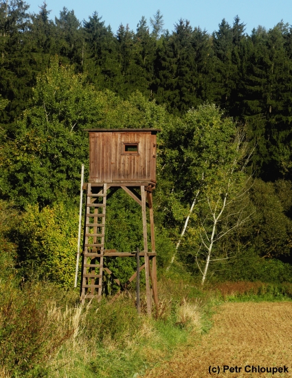 To je ale pěkný výhled...