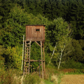 To je ale pěkný výhled...