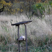 Moje slanisko pro srnčí zvěř