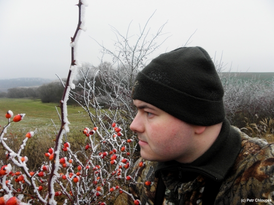 V ojíněném království...