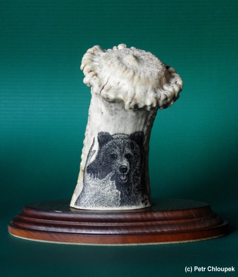 Malý grizzly s losím shozem