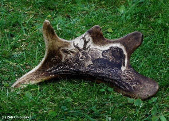 Po úspěšném lovu