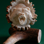 Grizzly bear