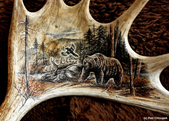 Úlovek, který dal zabrat