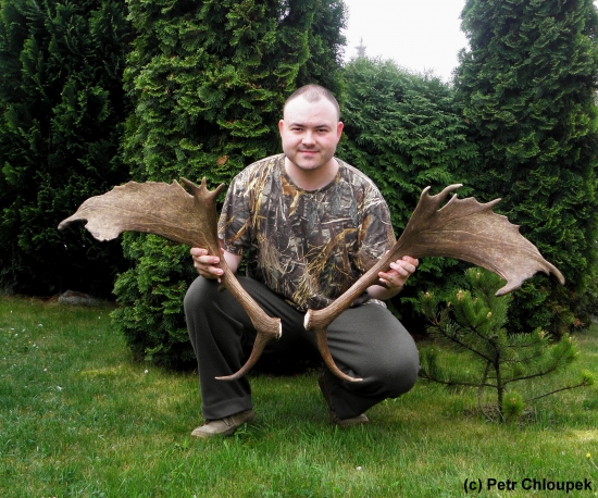 Kapitální párové daňčí shozy