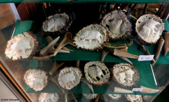 Bola s různými motivy zvěře