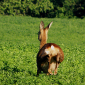 Už toho focení bylo dost a teď mi můžeš, víš co...