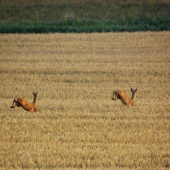 Už to pomalu začíná!!