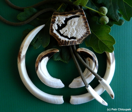 Kapitální kňour - sen mnoha lovců