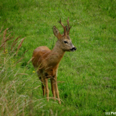 Tak se mi konečně ukázal v plné parádě!!
