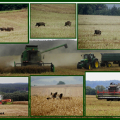 Setkání s černými rytíři