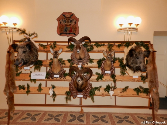 Expozice trofejí a preparátů lovné zvěře