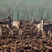 Na sluníčku je nám dobře