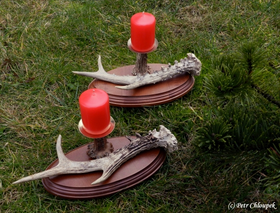 Svícny (srnčí shoz)