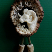 Bolo (muflon)