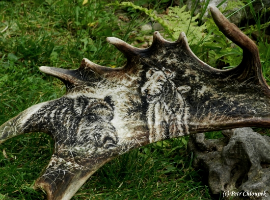 Úspěšná dohledávka