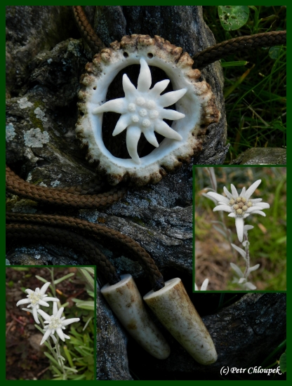 Inspirace z přírody