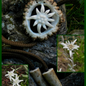 Inspirace z přírody