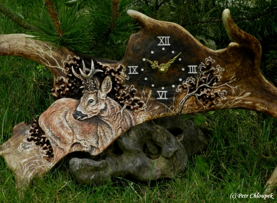 Čas lovu kapitálních srnců se blíží