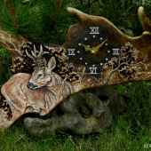 Čas lovu kapitálních srnců se blíží