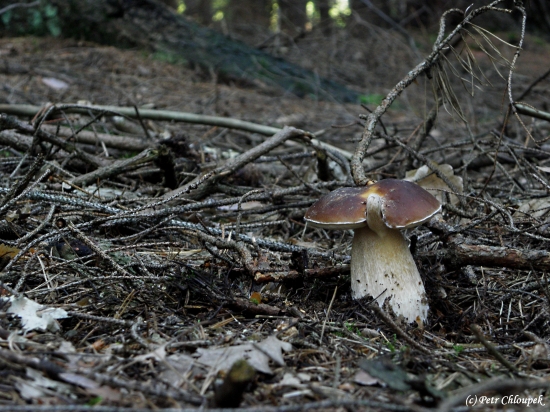Takový pohled bývá vždy nejkrásnější!!
