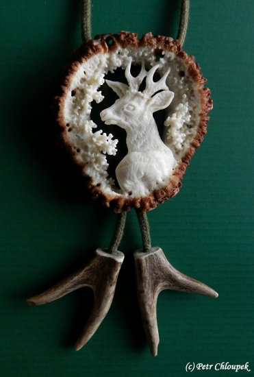 Bolo (kapitální srnec)