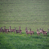 Poslední ohlédnutí
