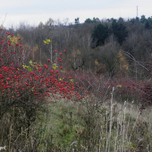 Ještě se najdou místa, kde to hraje všemi barvami