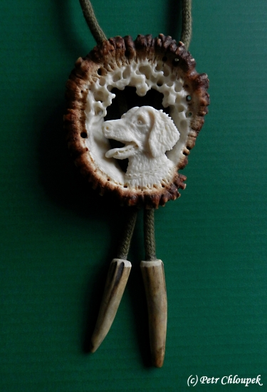 Ejmí (německý dlouhosrstý ohař)