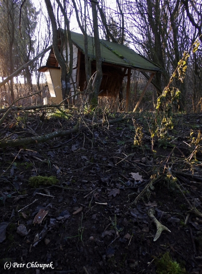 Takový pohled je vždy nejkrásnější!! :)