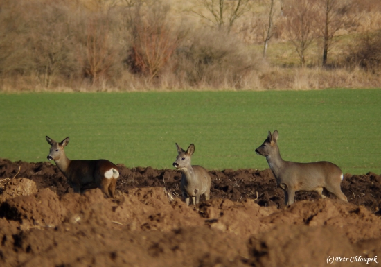 Na sluníčku je nám dobře