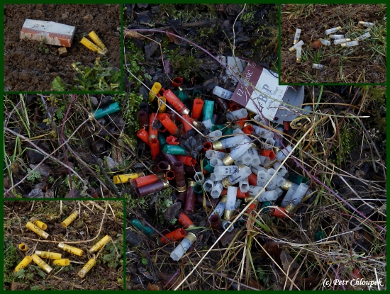 Po honech na drobnou zvěř!! :(