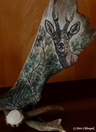 Zde je můj rajón!!